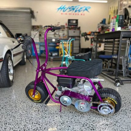 Where to buy Hustlers Minibike