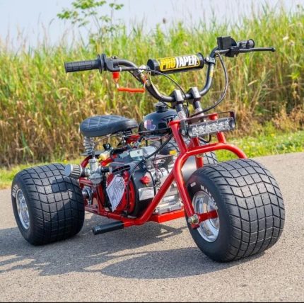 Where to buy a minibike in USA